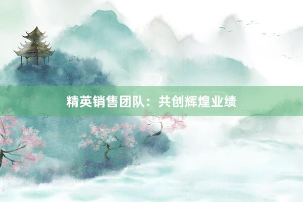 精英销售团队：共创辉煌业绩