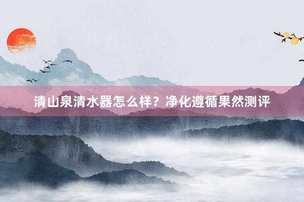 清山泉清水器怎么样？净化遵循果然测评
