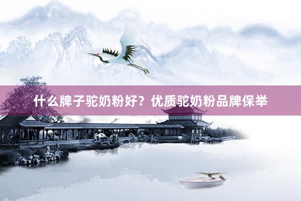 什么牌子驼奶粉好？优质驼奶粉品牌保举