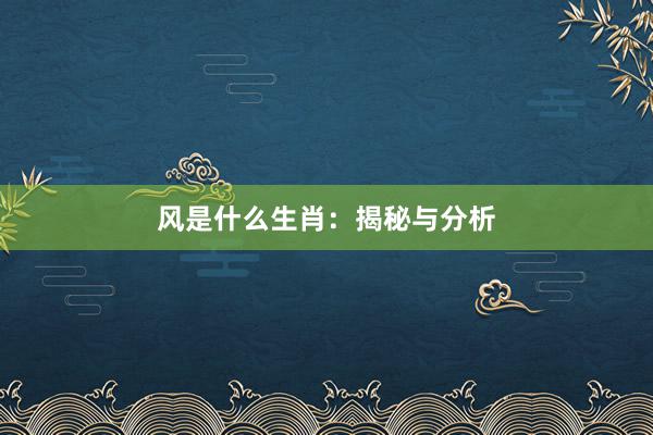 风是什么生肖：揭秘与分析